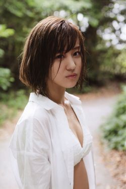 一龙八凤