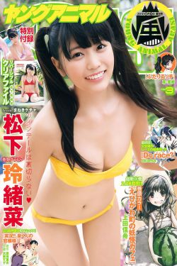 2015电视剧